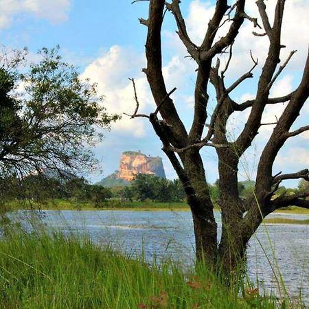 Rho Sigiriya Lake Edge Retreat Kibissa Esterno foto