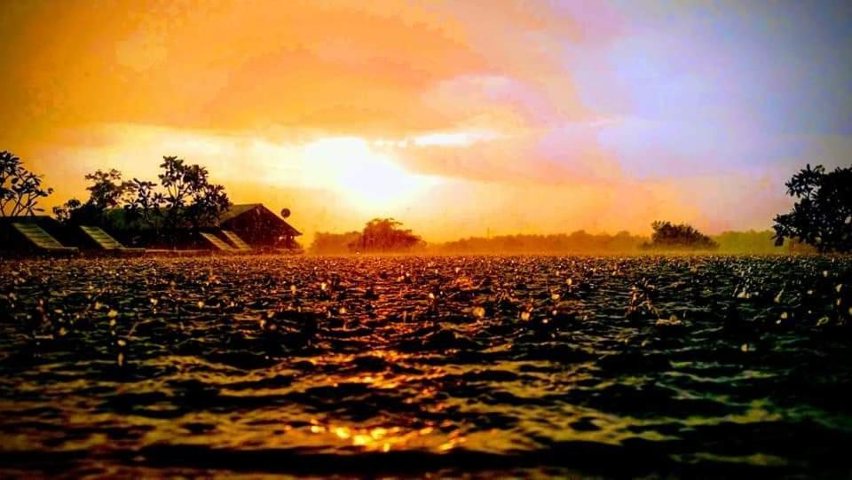 Rho Sigiriya Lake Edge Retreat Kibissa Esterno foto