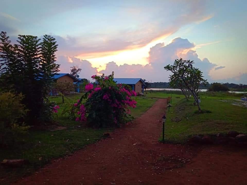 Rho Sigiriya Lake Edge Retreat Kibissa Esterno foto