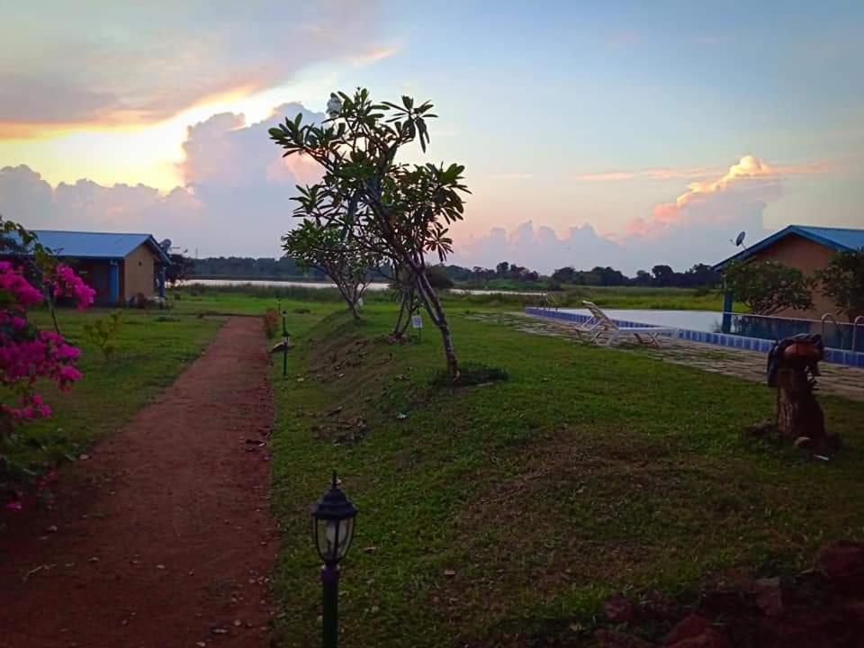 Rho Sigiriya Lake Edge Retreat Kibissa Esterno foto