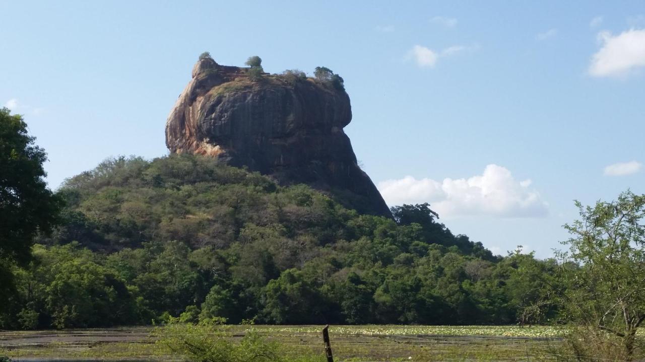 Rho Sigiriya Lake Edge Retreat Kibissa Esterno foto