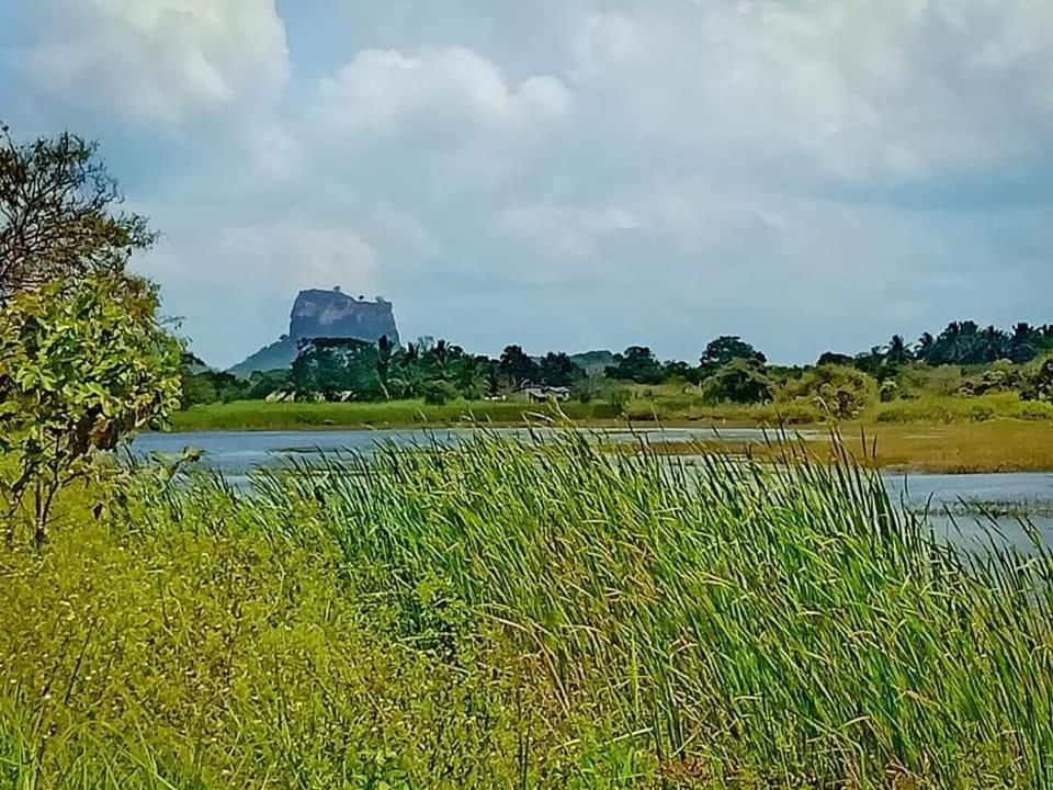 Rho Sigiriya Lake Edge Retreat Kibissa Esterno foto