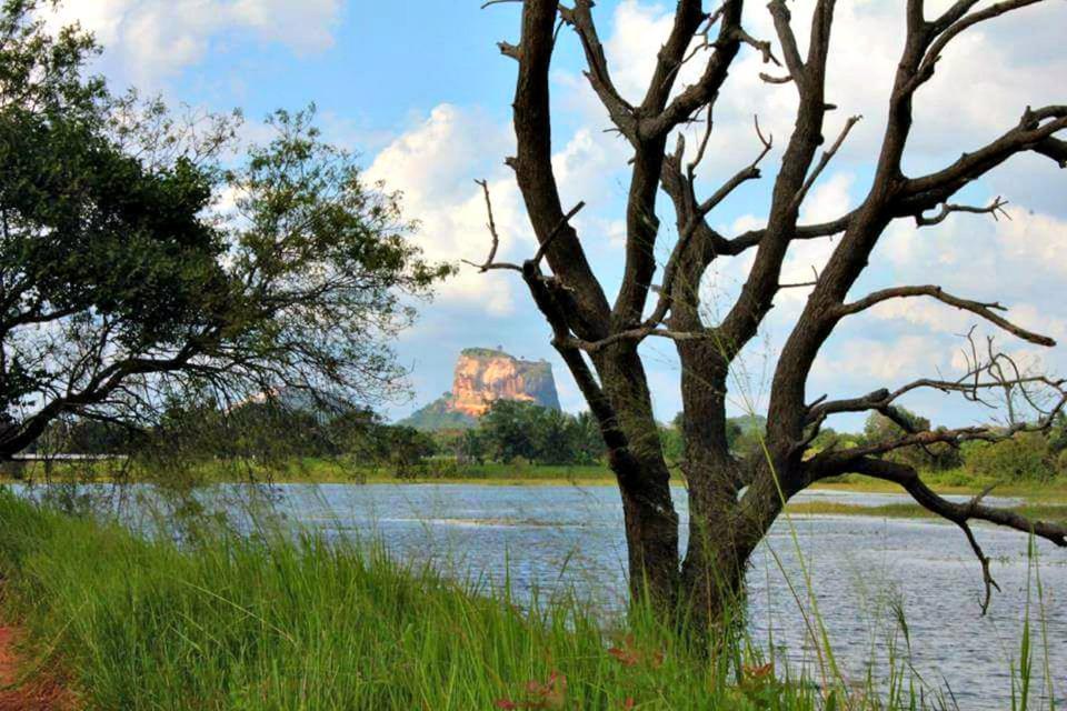 Rho Sigiriya Lake Edge Retreat Kibissa Esterno foto